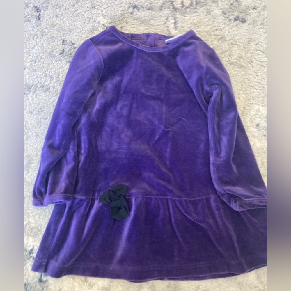 Hanna Andersson Purple Velvet Dress